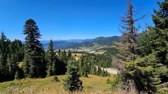 Виды хорошие, конечно