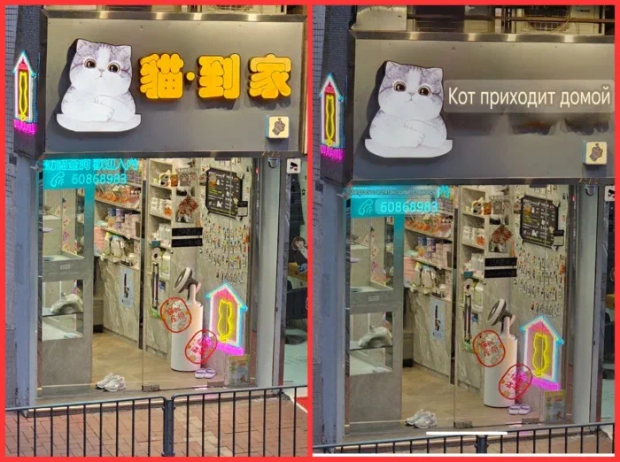 Хороший магазин - и кошек продают и всё для кошек, толковый подход.