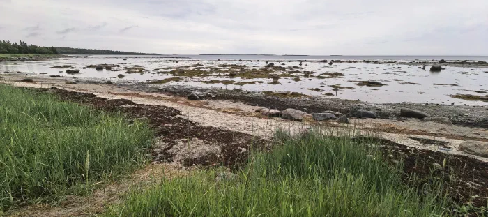 Берег Белого моря