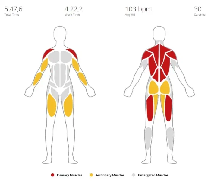 так Garmin распределяет нагрузку по итогам зарядки, надо будет ещё на пресс и грудь поискать упражнений и добавить в список на выполнение