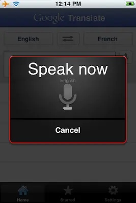 Google Translate app for iPhone screenshot 2