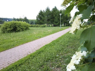 Первые впечатления от Huawei Honor 6 Plus, фото 9